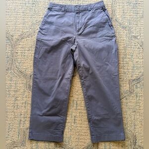 GAP Straight Up Khaki blue periwinkle size 4 petite